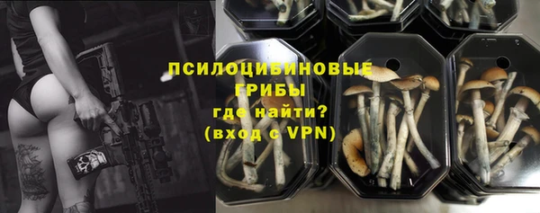 соль ск Елабуга
