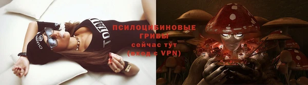 соль ск Елабуга