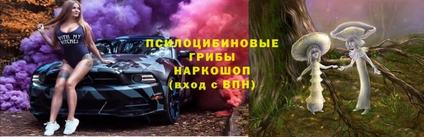 эйфоретик Елизово