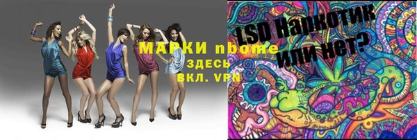 соль ск Елабуга