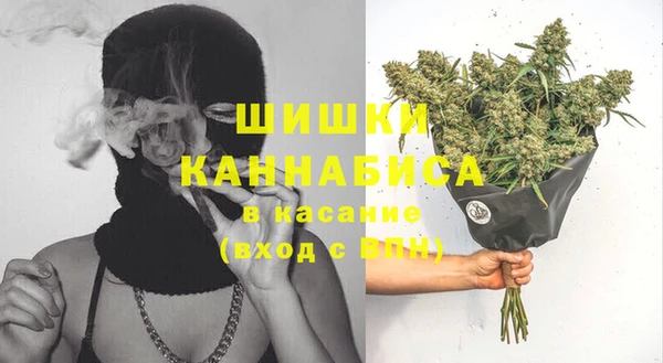 эйфоретик Елизово