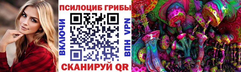 купить   Зеленодольск  Псилоцибиновые грибы прущие грибы 