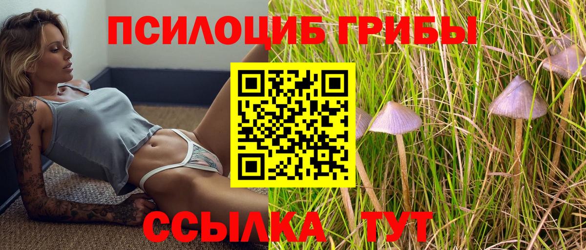 Псилоцибиновые грибы GOLDEN TEACHER  Вход с VPN  Галлюциногенные грибы Magic Shrooms  Зеленодольск 